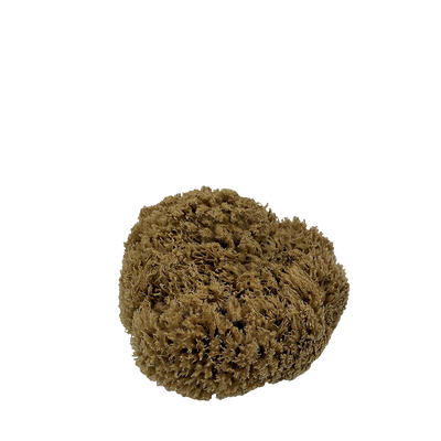 Sea Sponge - Natural Mediterranean