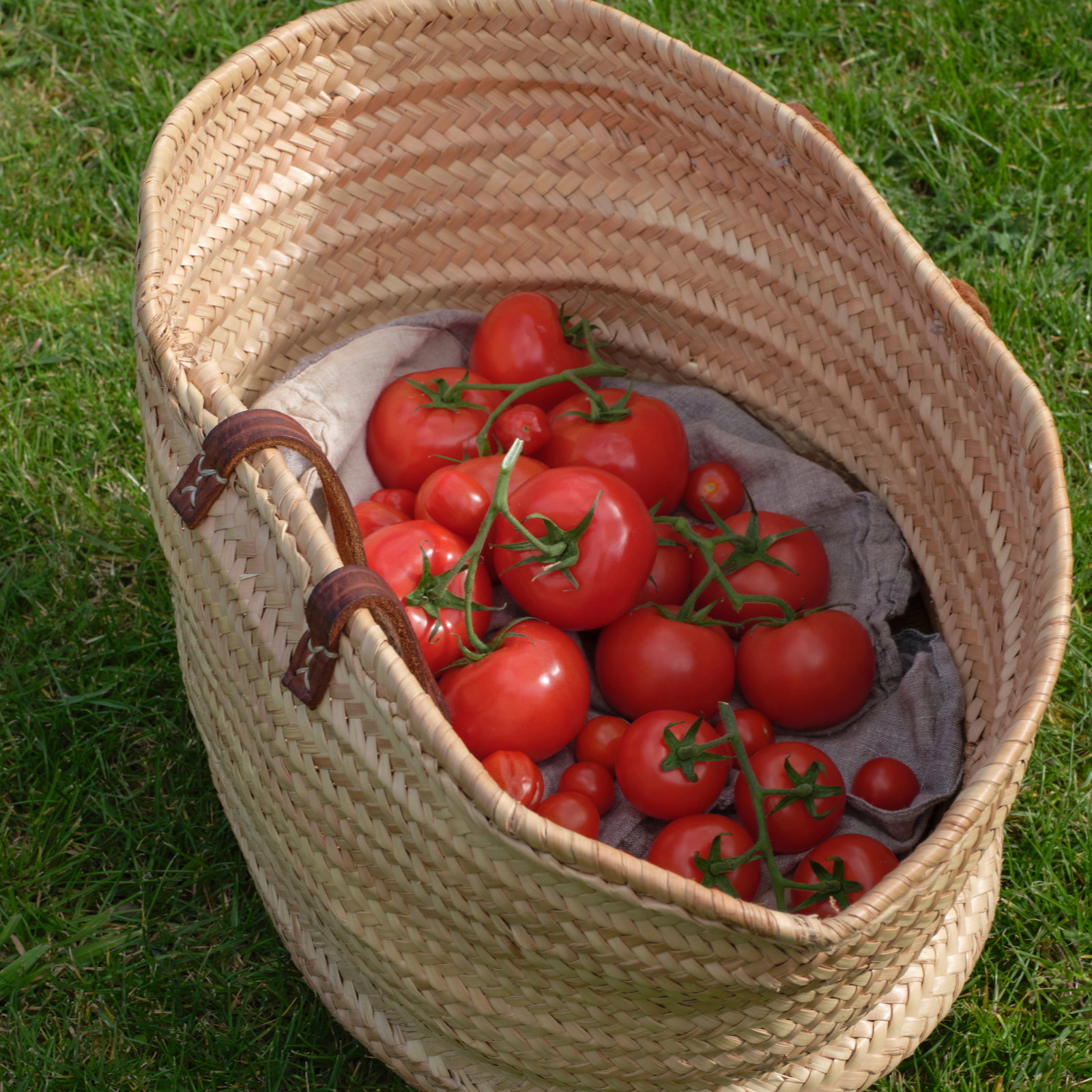 Tomato Leaves Bench Spray Refill 2500ml
