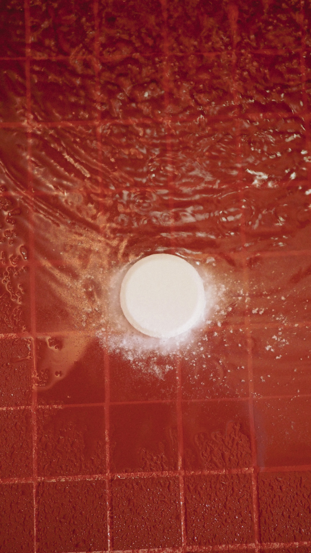 Koromiko & Lemongrass Shower Steamers Box of Five