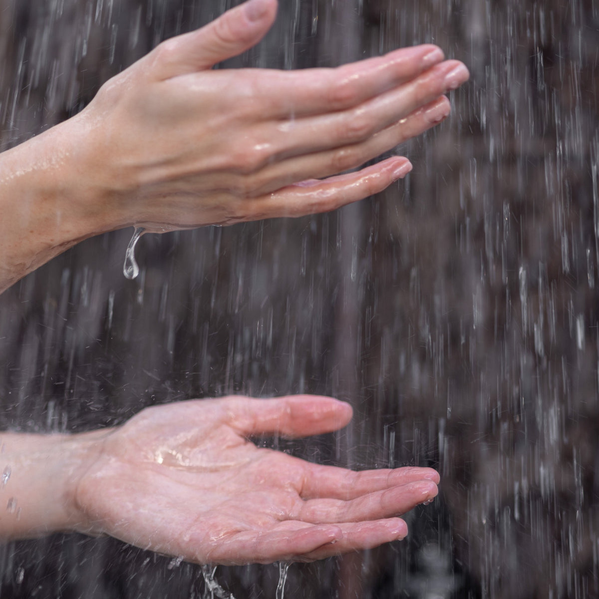 Harakeke & Blood Orange Body Wash, in use