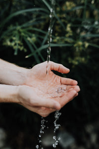 Harakeke & Blood Orange Hand Wash