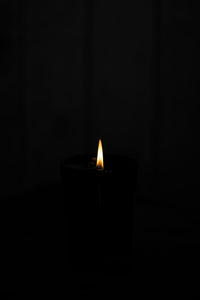 Amipere & Moss Bark Candle